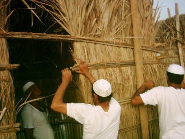 كتاب فنجان قهوه –في مجلس أحمد بن محمد بن هاشل