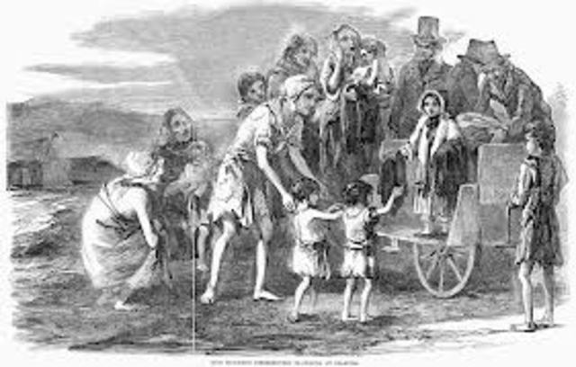 the irish potato famine