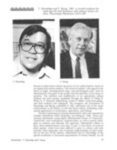 Desarrollo de medios MS.