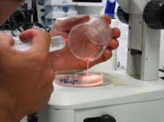 introdujo la utilización en cultivo in vitro.