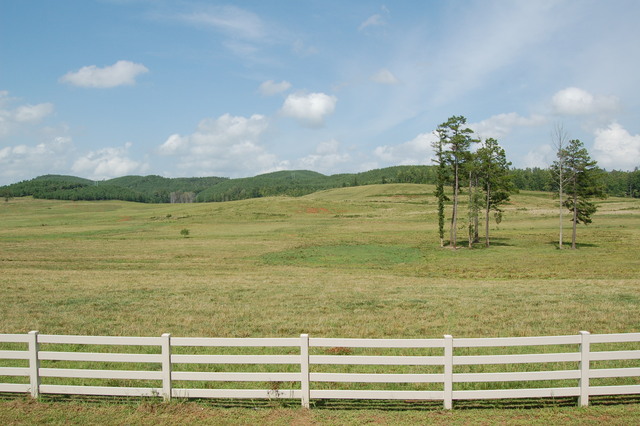 partners divided property