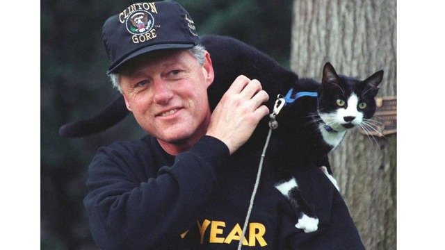 Bill Clinton Gets Elected