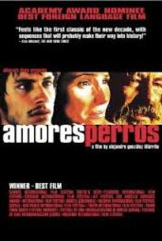 Amores Perros