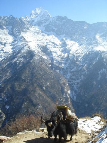 Youngest Person Reached Summit