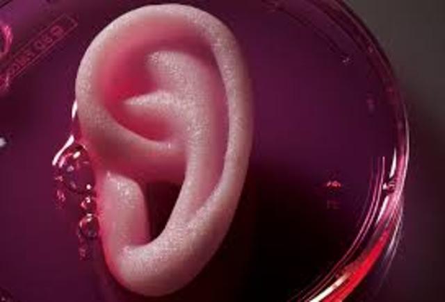 Regeneracion de organos.