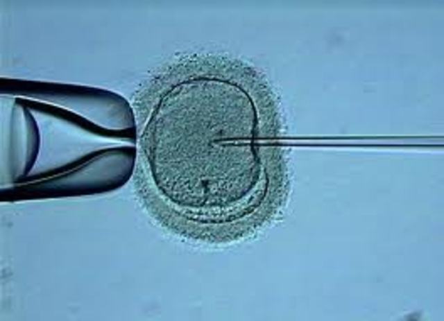 Desarrollo de tecnicas in vitro.