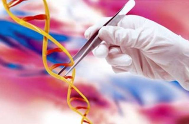 Investigaciones sobre el genoma humano