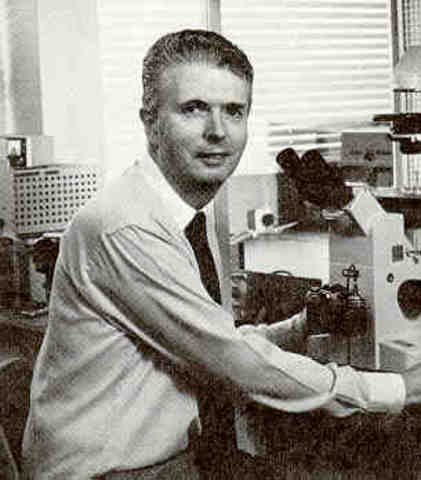 la encima celulasa, obtenida del hongo Myrothecium verrucaria,