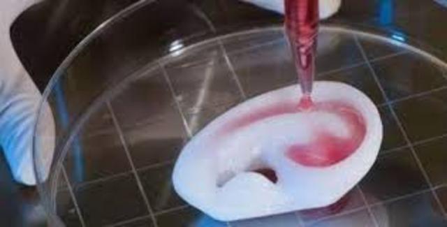 REGENERACION DE ORGANOS