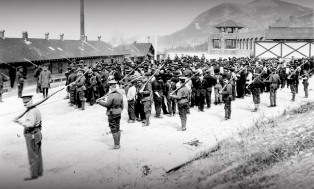 Restrictions on "Enemy Aliens"