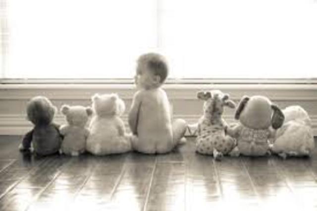 La cámara fotográfica..