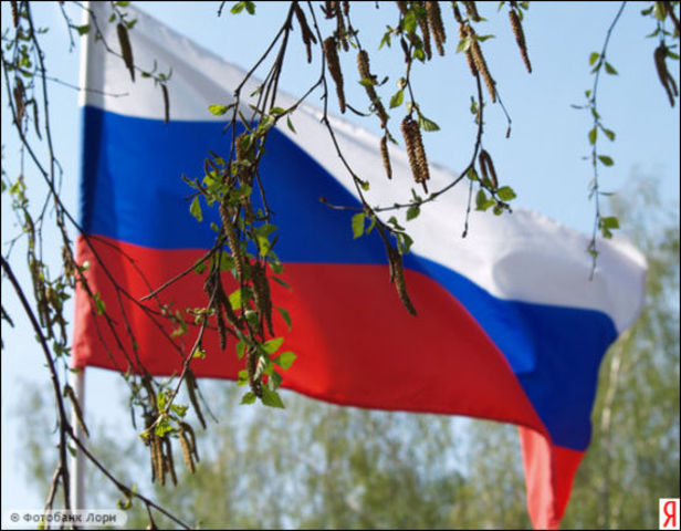 принятие декларации