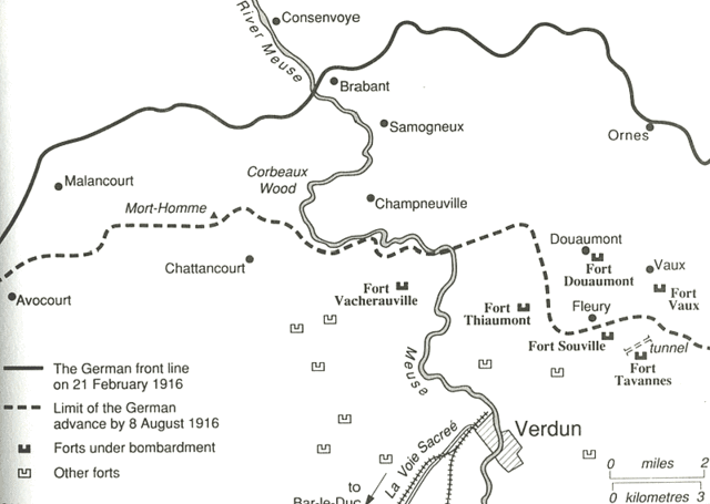 Battle Of Verdun picture