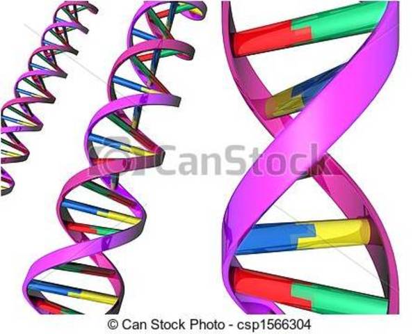 Watson Crack y Wilkins