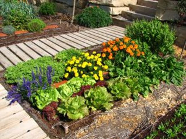 : Feria internacional plantas, horticultura, jardinería