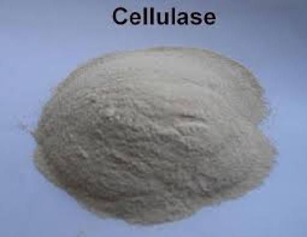 la degradacion de pared celular