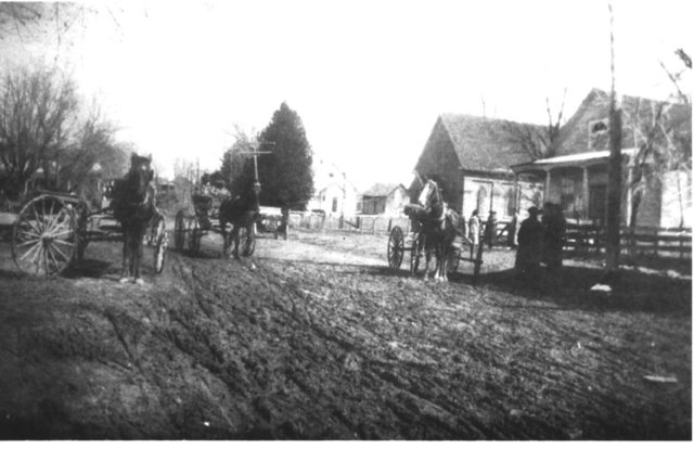 Early Canadian Immigration: What was it like to live then?