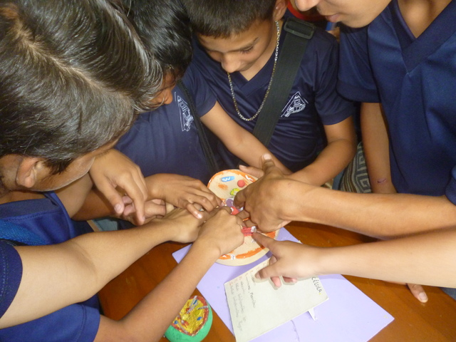 IDENTIFICAR PARTES DE LA CELULA