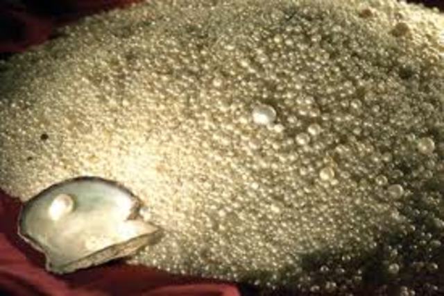 كتاب فنجان القهوة - علي بن حسين المناعي