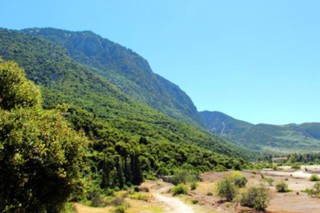 Battle at Thermopylae