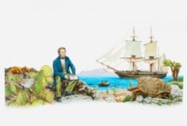 Culmina el viaje con el Beagle