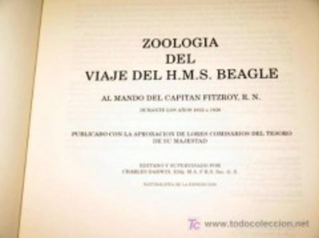 Publica "Zoología del viaje del Beagle"