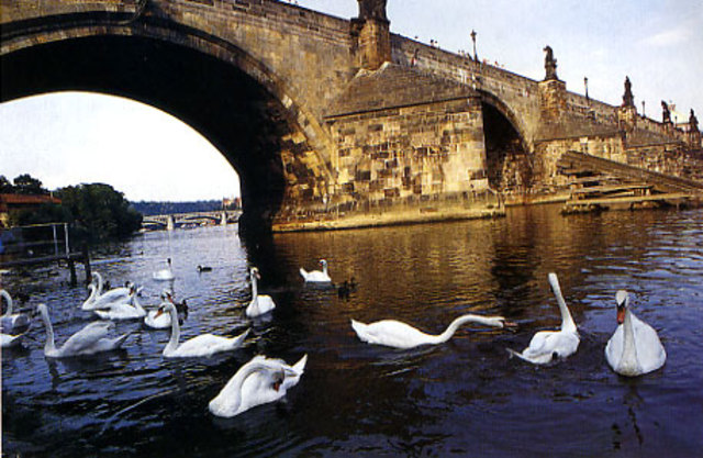 גורם מסייע- איחוד העיר הישנה והחדשה