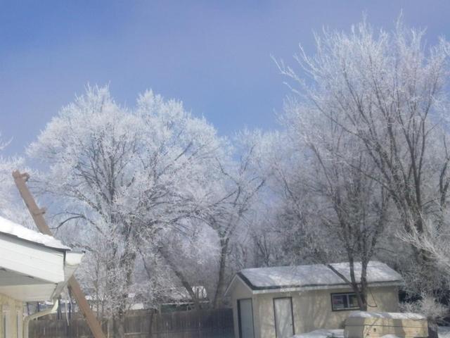 first time i ever seen a snowfall