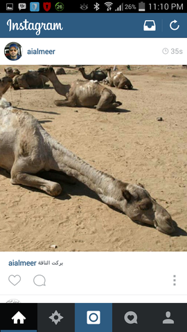 الامارات في ذاكرة ابنائها