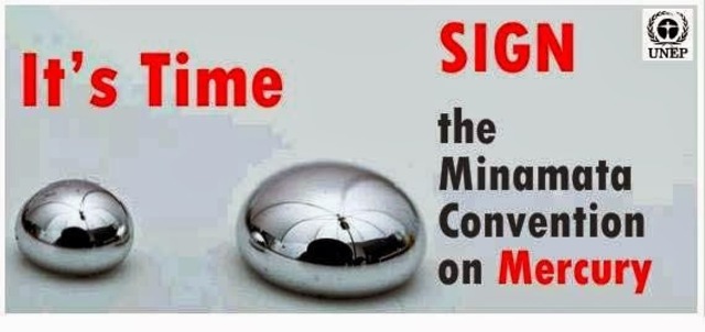 CUMBRE MINAMATA MANEJO MERCURIO KUMAMOTO JAPON