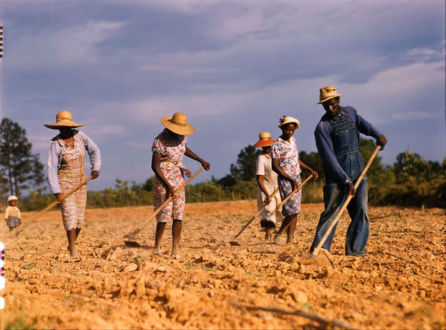 Sharecropping