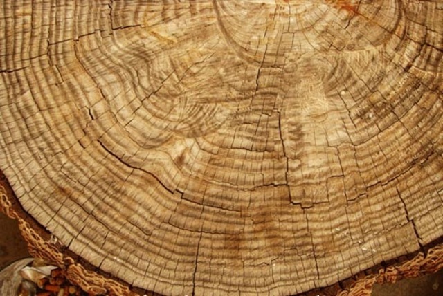 REVOLUCION DE PROCESOS