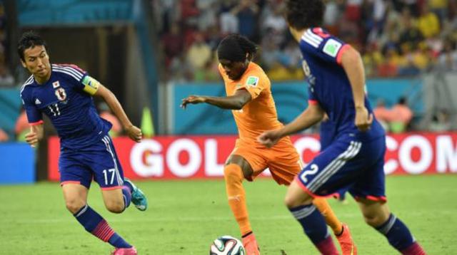 Los elefantes pizan fuerte en Brasil