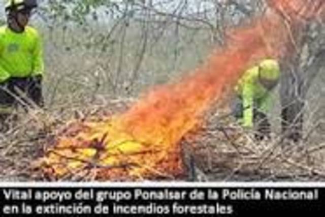 Vital apoyo del grupo Ponalsar de la Policía Nacional en la extinción de incendios forestales (Policia Nacional de Colombia)