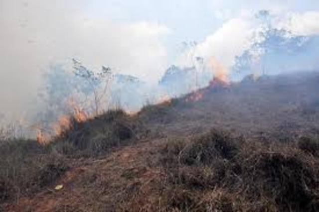 Brigadas mixtas permiten apagar incendios propagados (Policia Nacional de Colombia)