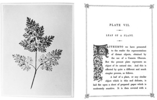 Pages from Talbot's The Pencil of Nature