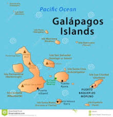 Galapagos Island