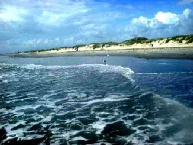 avarez de pined explores texas coast