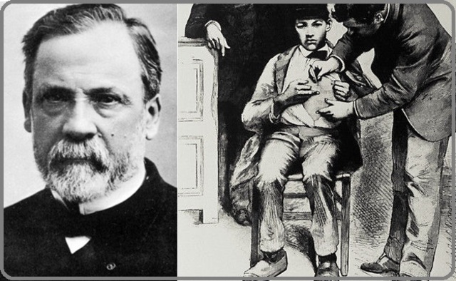 Primera vacunación antirrábica