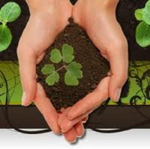 Declaración de Quebec sobre Ecoturismo