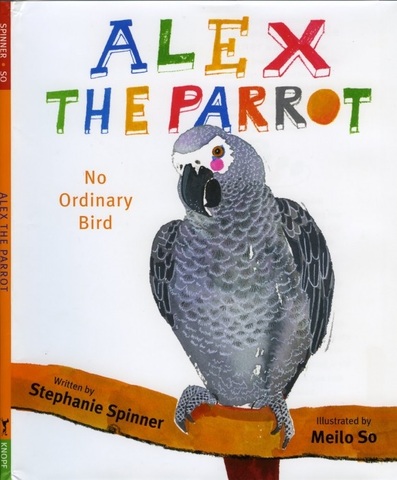 Alex the Parrot by Stephanie Spinner