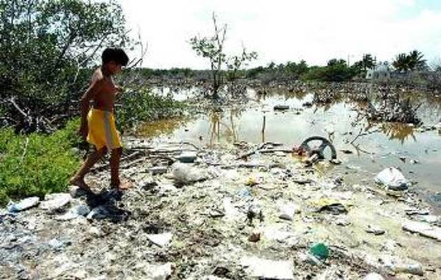 Informe Brundtland Nuestro Futuro Común