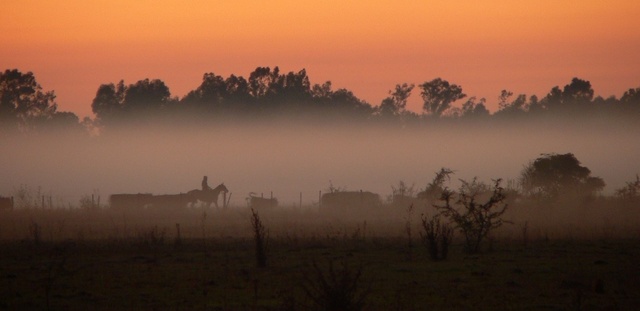 Declaración de Davos