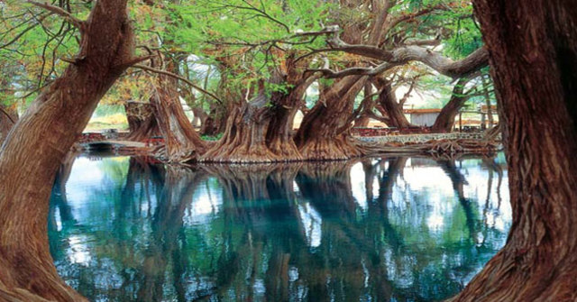 La Carta de la Tierra