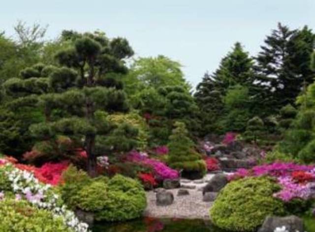 Ботанический сад