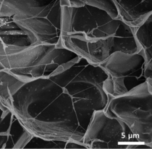 Tissue Scaffolding possibilities