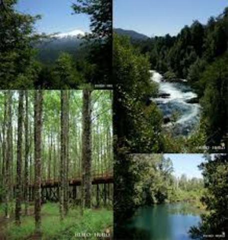 Período extraordinario de sesiones