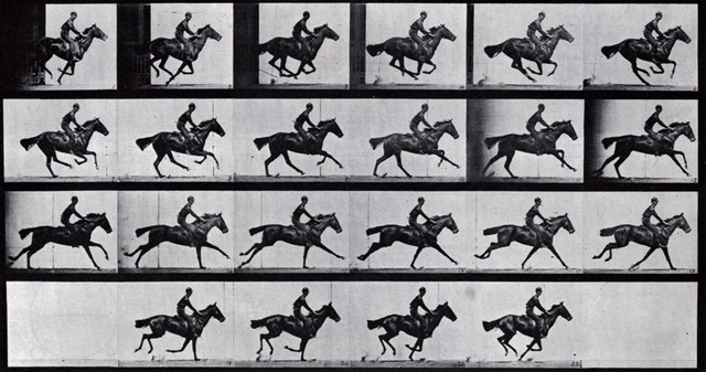 9–46. Eadweard Muybridge, plate published in The Horse in Motion,