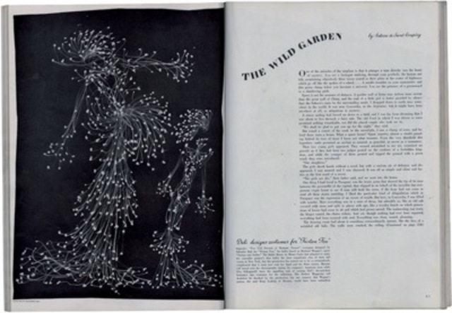 Immagrants to America 1939