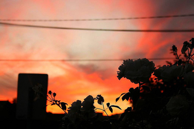 longest heat wave in Texas